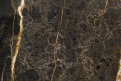 Black-and-Gold