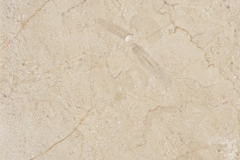 beige-rozalia