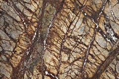 brown-rainforest